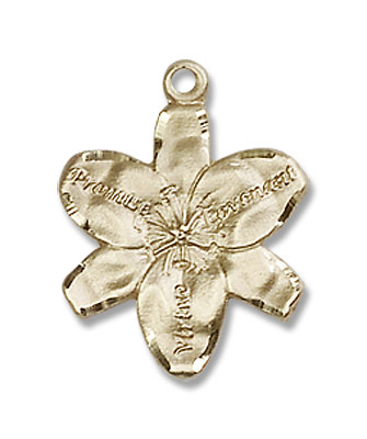 Chastity Promise Medal - 14K Solid Gold