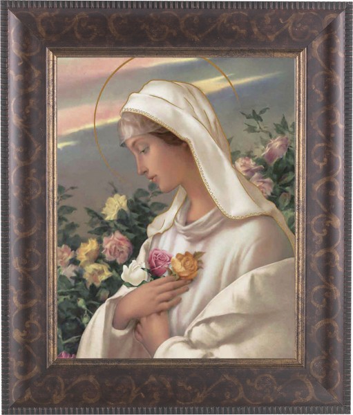 Mystical Rose 8x10 Framed Print Under Glass - #124 Frame