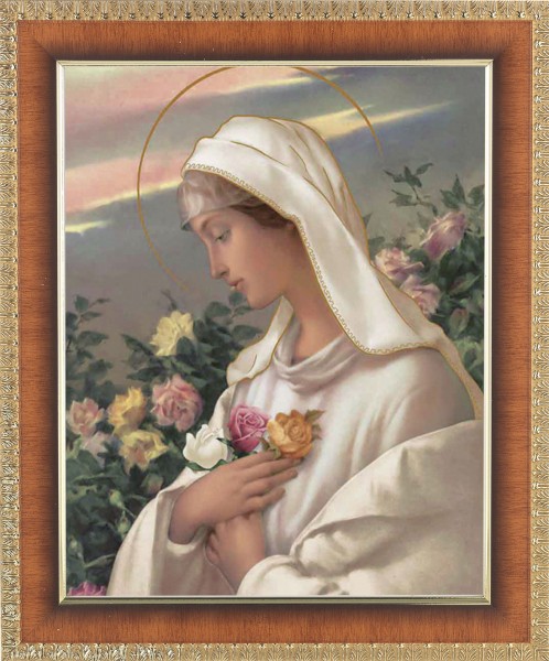 Mystical Rose 8x10 Framed Print Under Glass - #122 Frame