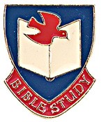Bible Study Pin - Blue