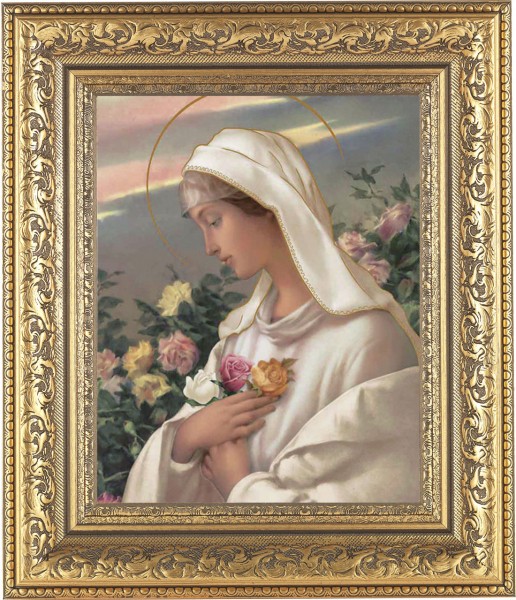 Mystical Rose 8x10 Framed Print Under Glass - #115 Frame