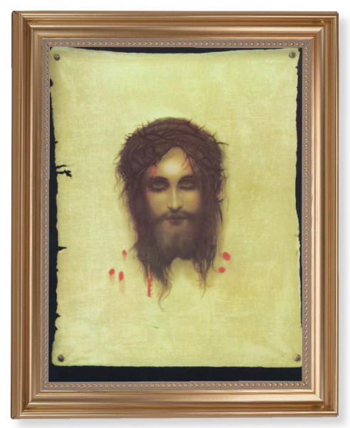 Veronica's Veil 11x14 Framed Print Artboard - #129 Frame