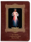 Divine Mercy Vilnius Catholic Bible