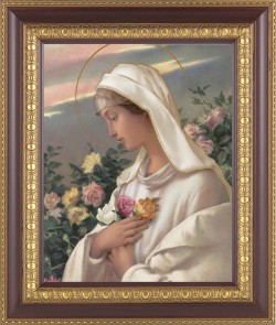 Mystical Rose 8x10 Framed Print Under Glass [HFP224]