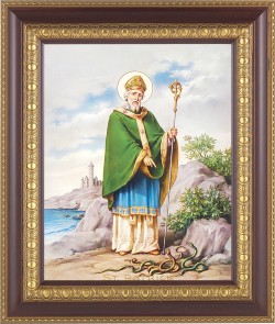 St. Patrick 8x10 Framed Print Under Glass [HFP640]