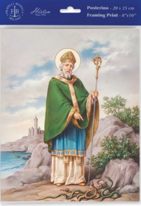St. Patrick Print - Sold in 3 per pack [HFA1172]