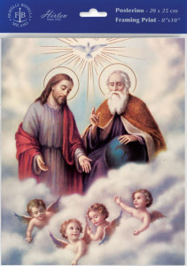 Trinity Print - Sold in 3 per pack [HFA1185]