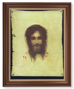 Veronica's Veil 11x14 Framed Print Artboard [HFA5069]