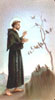 Saint Francis of Assisi